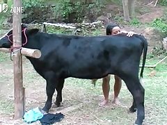 Animal Sex Porn Star