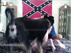 Comic Animal Sex