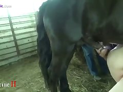 Porn Xnxx Xxx Videos