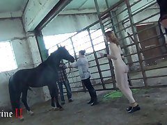 Xxx Xnxx Porn Com