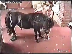 Animal And Human Sex Pornhub