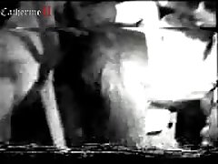 Chasing Dog Video Porn