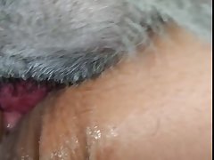Dog Porn Moaning