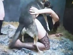 Dog Cum Zoo Porn
