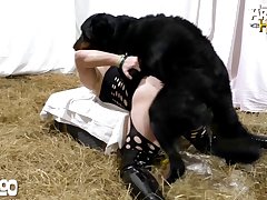 Bonnie Blue Pettin Zoo Porn