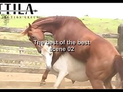 The Best Of The Best Scene 02