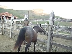 Lupe Vs Stallion Scene 01