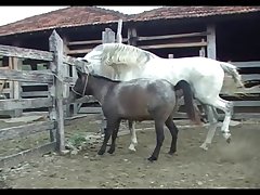 Lupe Vs Stallion Scene 01