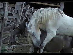Lupe Vs Stallion Scene 01