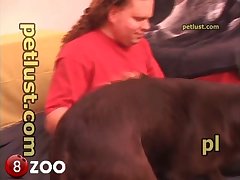 P121 Sweet Chocolate Lab