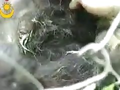 Loving Dakotas Cock Chunk 19