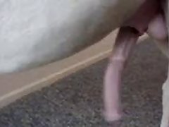 Miniwack