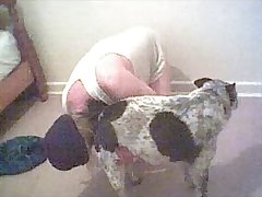 Art Of Zoo Porn Coco
