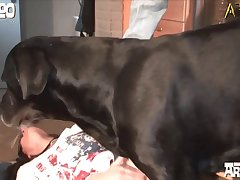 Girls Having Sex With Dog Porn