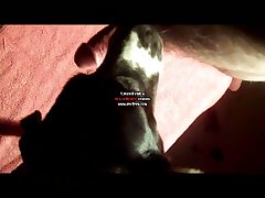 Art Of Zoo Free Videos