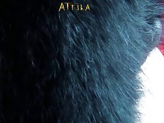 Art Of Zoo Bound For Breeding