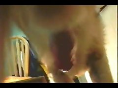 Art Of Zoo With Monkey