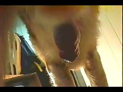 Art Of Zoo With Monkey