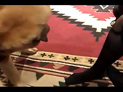 Fart On Dog Porn