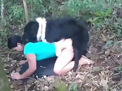 Cartoon Animal Sex Video