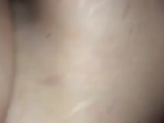 Animal Sex Family