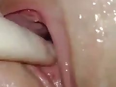Erotica Animal Sex