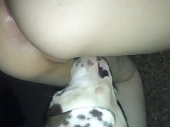 Animal Sex Tub