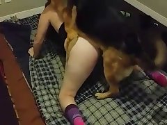 Www Animal Sex. Com