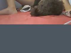 Animal Sex Squirting
