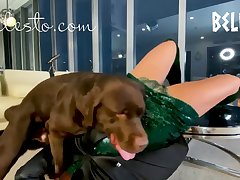 Pornsocket Dog Porn
