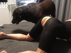 Art Of Zoo Animal Porn