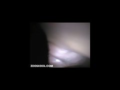 Using Vibrator On Dog Xxx