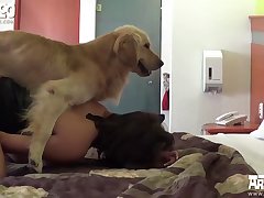 Dog Xxx Cab