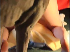 Woman Fucked By A Dog Xxx