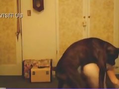 Girl Gets Knotted By Dog Xxx