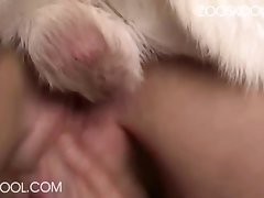 Ass Licking Dog Xxx