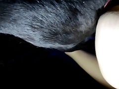 Zoophilie Extrem Brutal