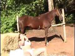 Animal Sex For Man