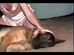 Dog Fuck Watch Dog