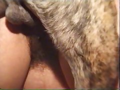 Two Lesbians Fuck A Dog