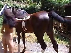Spain And Animal Sex