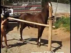 Free Porno Animal Sex