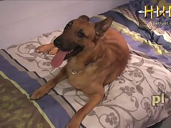 Assistir Video De Sexo Brasileiro