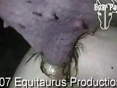 Woman Sucking Dog Cock Videos