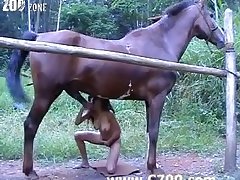 Animal Porn