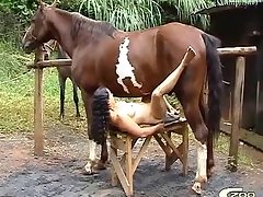 Porno De Zoofilia