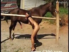 Tiger Sex Video