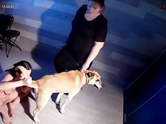 Köpek Kadın Sikişi