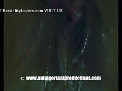 Girl And Animal Sexy Video