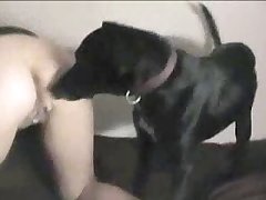Girl Gets Fucked By Dog